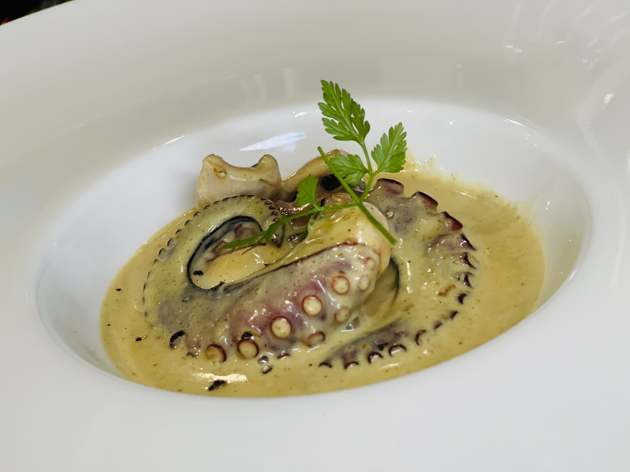 国産灰干したこ カレークリームソースの料理写真